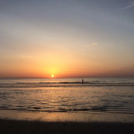 Fleuri * Koksijde